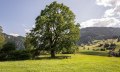 Ort der Besinnung - Obermaiselstein © Tourismus Hörnerdörfer GmbH