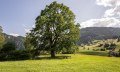 Ort der Besinnung - Obermaiselstein © Tourismus Hörnerdörfer GmbH