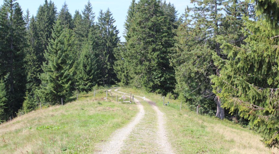 Wegbeschaffenheit