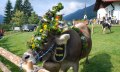 Weitere Kranzkuh - Viehscheid in Balderschwang © Tourismus Hörnerdörfer