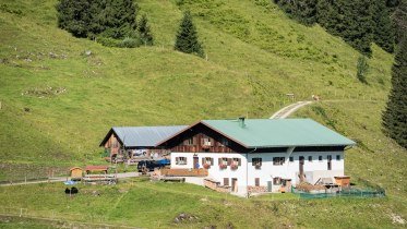 Alpe Dinjörgen © Tourismus Hörnerdörfer, F. Kjer Alpe Dinjörgen © Tourismus Hörnerdörfer, F. Kjer