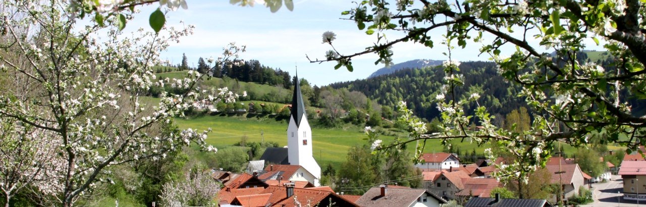 Missen im Frühling © Gerwig Löffelholz