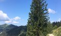 Alpweg Richtung Berghaus Schwaben