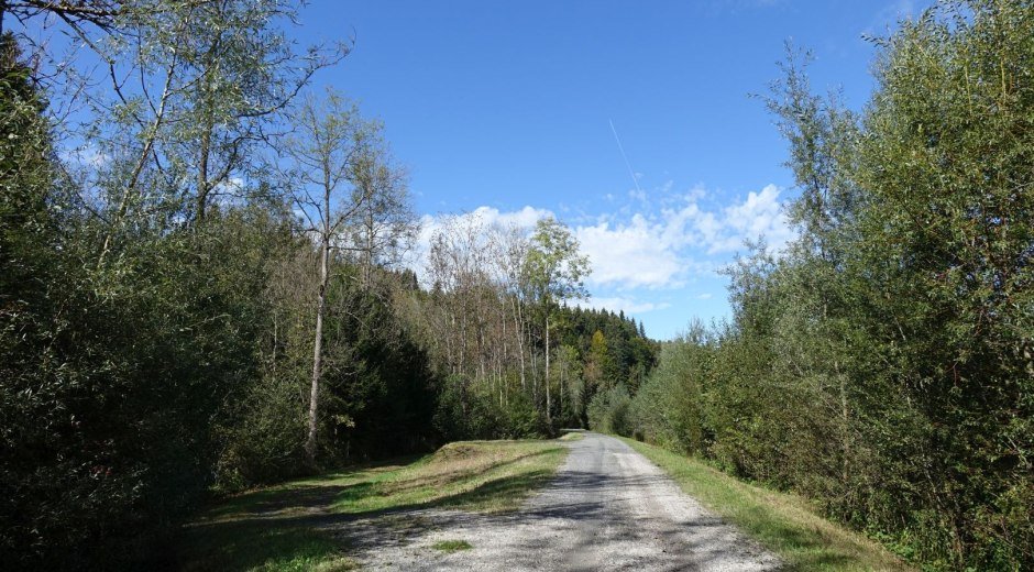 Illerradweg in Richtung Sonthofen