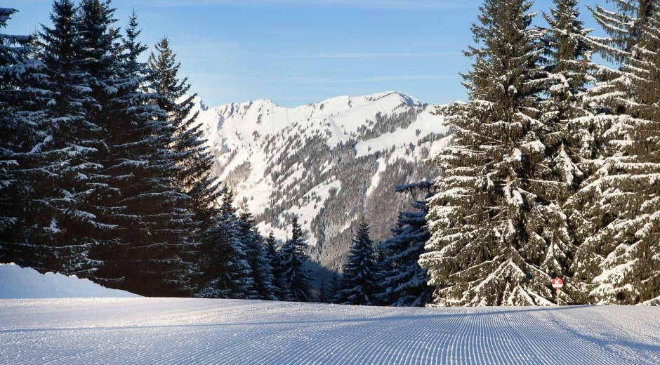 Märchenwiese - Skigebiet Ofterschwang-Gunzesried © Tourismus Hörnerdörfer, ProVisionMedia