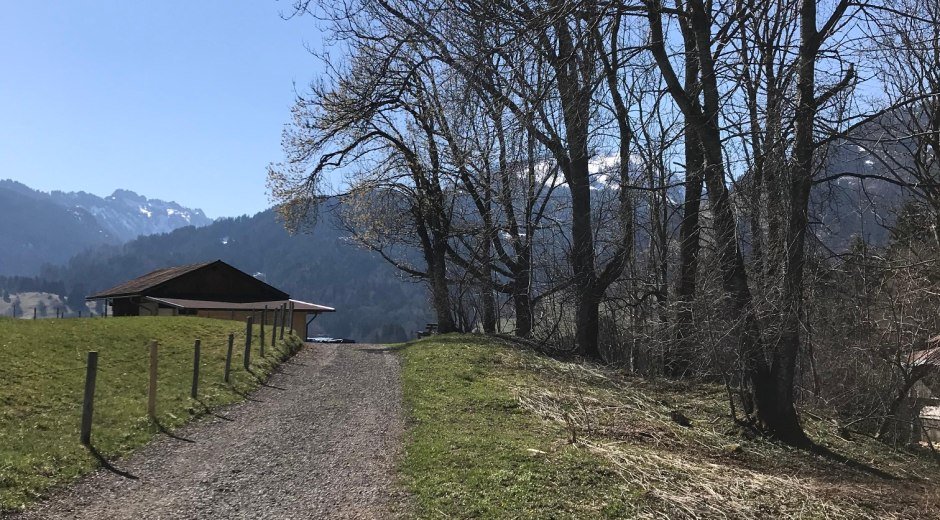 Schöne Aussicht auf die Bergwelt