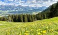 Blick auf Illertal und Allgäuer Hauptkamm © Tourismus Hörnerdörfer GmbH