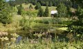 Rohrmoos © Tourismus Hörnerdörfer, MA