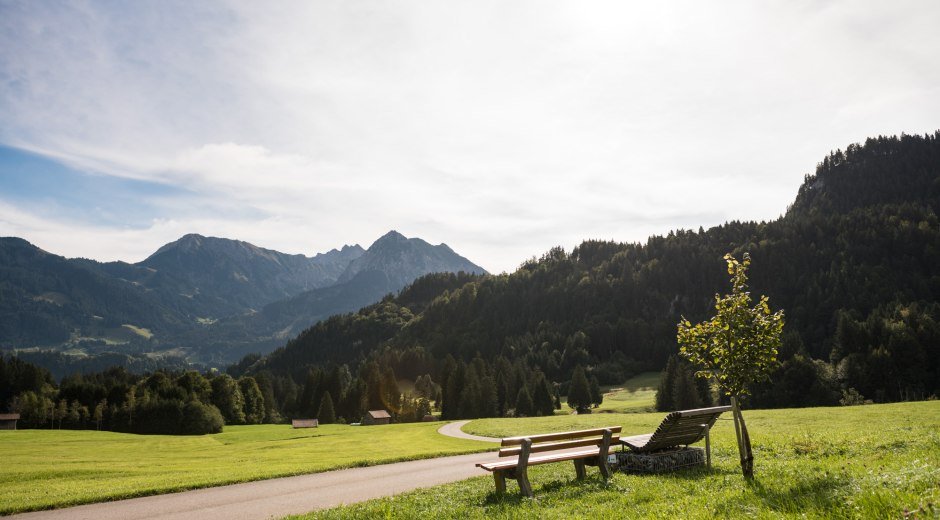 Ruhebank und Relaxliege in Niederdorf © Tourismus Hörnerdörfer, F. Kjer