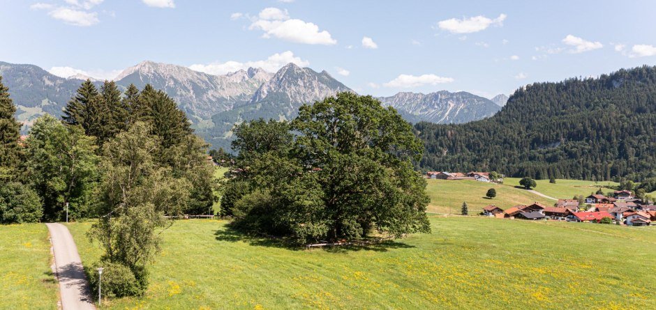 Waldfest auf der Spöck in Obermaiselstein © Tourismus Hörnerdörfer