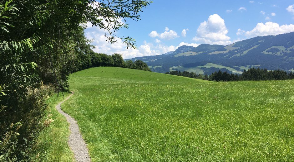 Schmaler Pfad Richtung Obermühlegg © Tourismus Hörnerdörfer GmbH