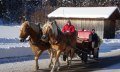 Pferdekutschfahrt rund um Bolsterlang © Tourismus Hörnerdörfer
