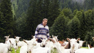 Franz zwischen seiner Ziegenherde © Alpengasthhof Schwand
