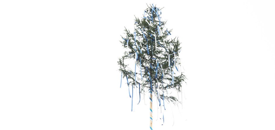Maibaum Wipfel © Aline