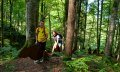 Sagenweg - der Drache im Wald © Tourismus Hörnerdörfer, G. Eichholzer
