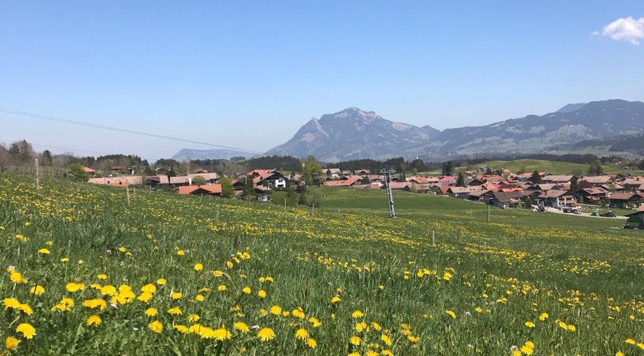Im Frühjahr erwarten Sie herrliche Löwenzahnfelder wie hier mit Blick auf Bolsterlang