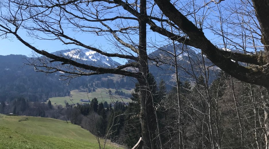 Ruhebank mit Blick nach Bolsterlang © Tourismus Hörnerdörfer, L. Renn