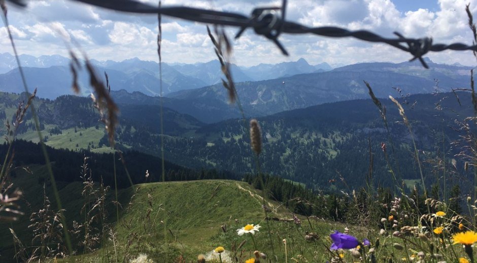 Familienwanderung über Ochsenkopf zum Riedberger Horn - Kletterfreuden für Kinder