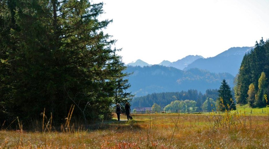 Tiefenberger Moos bei Ofterschwang