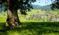 Obermaiselstein - Blick von der Spöck © Tourismus Hoernerdoerfer GmbH, Tobias Burger