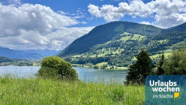 Panorama Großer Alpsee © Dein Wanderguide, Nele Beschoner.jpeg © Dein Wanderguide, Nele Beschoner