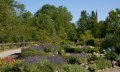 Kräutergarten im Kurpark in Fischen im Allgäu © Tourismus Hörnerdörfer, G. Eichholzer