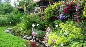 große Blumen- und Pflanzenvielfalt im Kreislehrgarten Sulzberg-Ried © Markt Sulzberg