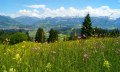 Blumen- und Käuterwiesen oberhalb Hüttenberg mit traumhafter Aussicht