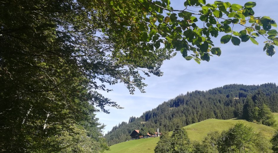 Blick auf den Alpen-Gasthof Gaisalpe © Tourismus Hörnerdörfer GmbH
