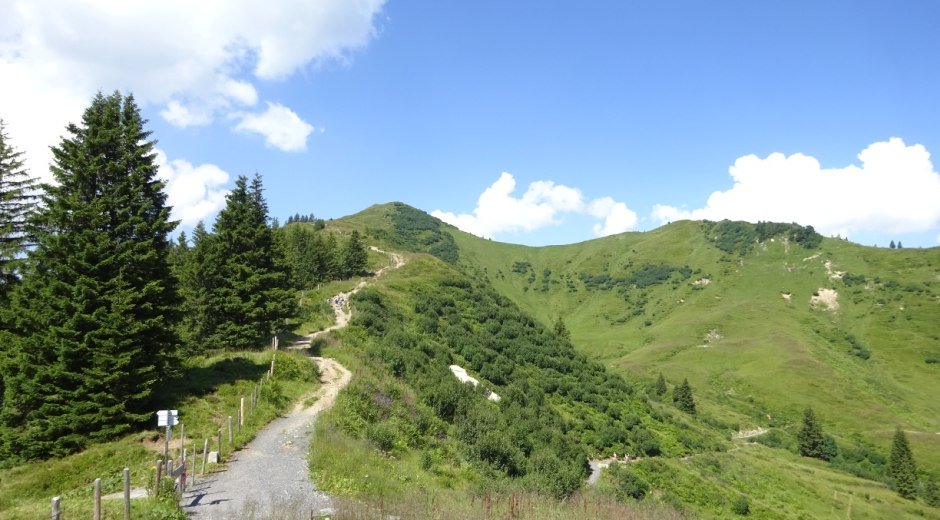 Wanderweg zum Riedbergerhorn © Tourismus Hörnerdörfer, S. Salzberger