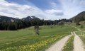 Mountainbike Kurse & Touren mit HörnerLiebe