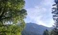 Wandern mit Blick auf die Allgäuer Hochalpen © Tourismus Hörnerdörfer GmbH