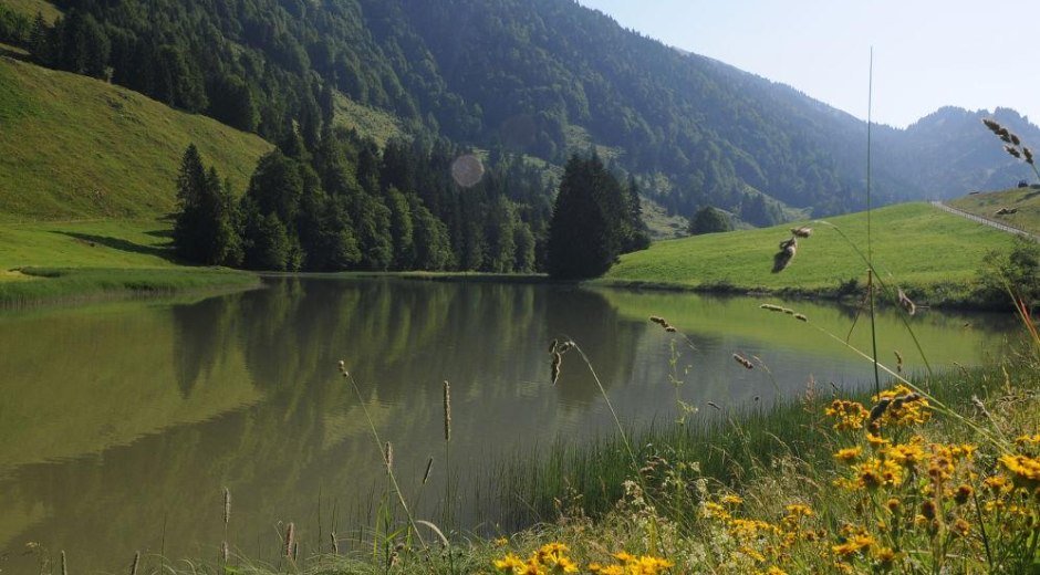 Radtour ab Balderschwang: Lecknertal - Scheidewang - Höllritzer Alpe