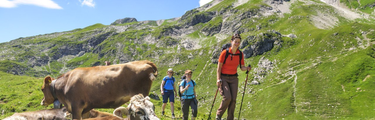 Bergwanderer unterwegs in den Allgäuer Bergen laufen vorbei an Kühen © Alexander Rochau