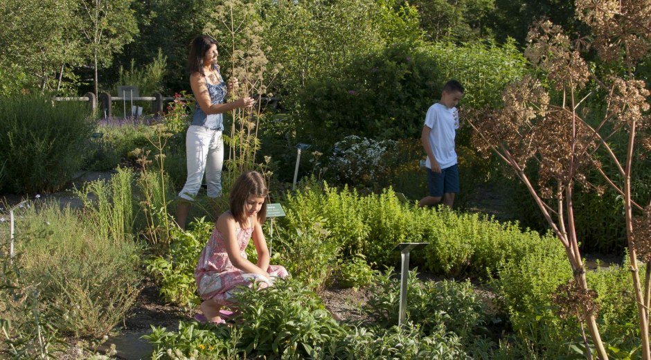 Der Kräutergarten liegt im Kurpark in Fischen © Tourismus Hörnerdörfer, G. Eichholzer