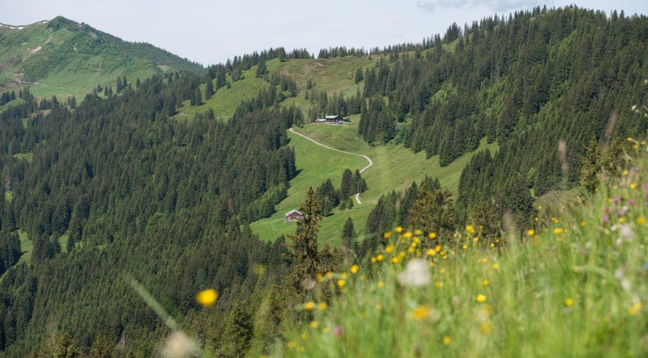 Berghaus Schwaben - Bolsterlang © Tourismus Hörnerdörfer, F. Kjer