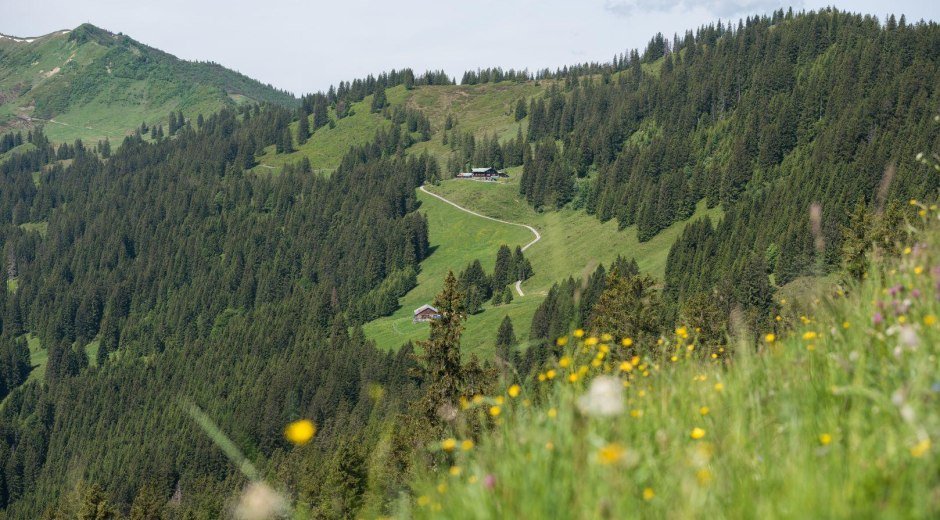 Berghaus Schwaben - Bolsterlang © Tourismus Hörnerdörfer, F. Kjer
