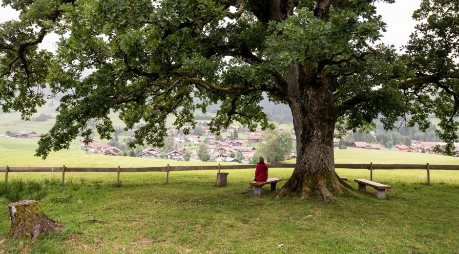 Ort der Besinnung © Tourismus Hörnerdörfer, F. Kjer