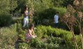 Der Kräutergarten liegt im Kurpark in Fischen © Tourismus Hörnerdörfer, G. Eichholzer