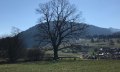 Spöckwiese Obermaiselstein © Tourismus Hörnerdörfer, L. Renn