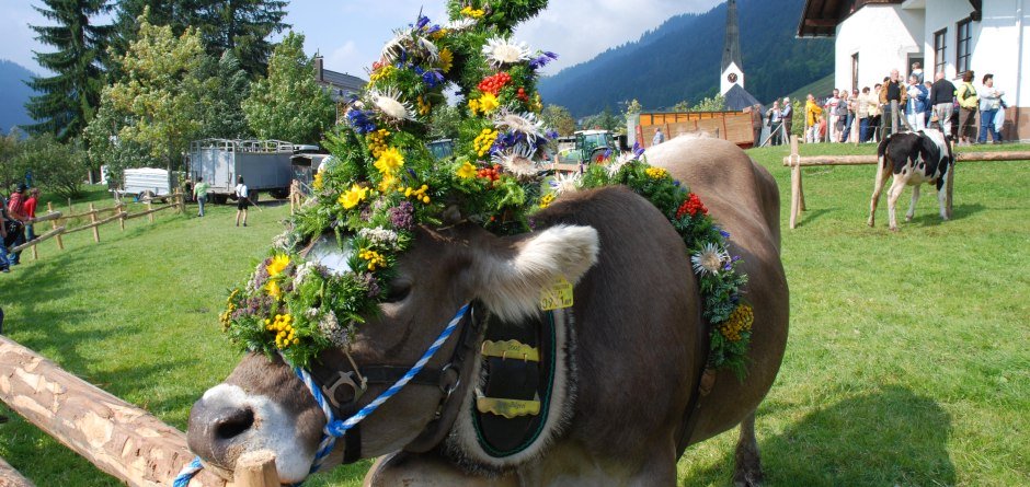 Weitere Kranzkuh - Viehscheid in Balderschwang © Tourismus Hörnerdörfer