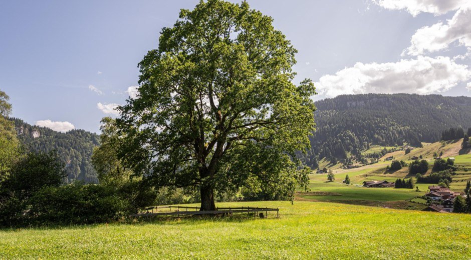 Ort der Besinnung - Obermaiselstein © Tourismus Hörnerdörfer GmbH