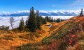 Herbstliche Moorlandschaft am Wannenkopf © Tourismus Hörnerdörfer, R. Schöllhorn
