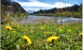 Blick vom Ende des Sees auf die Iller im Frühling © Tourismus Hörnerdörfer GmbH
