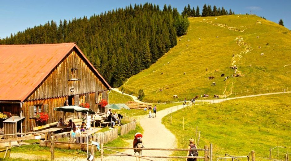 Fahnengehren Alpe