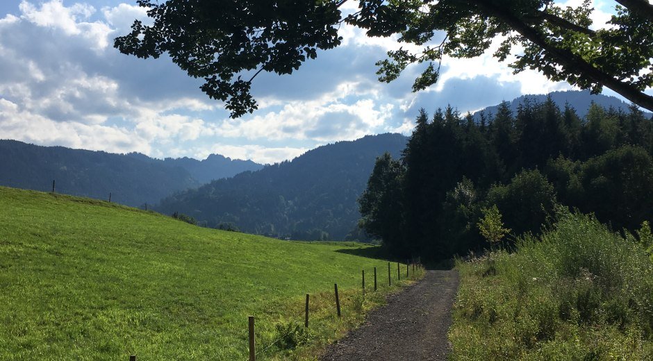 Grüner Weg © Tourismus Hörnerdörfer, L. Renn
