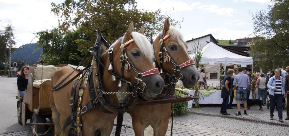 Pferdekutschfahrt © Tourismus Hörnerdörfer, R. Schöllhorn