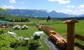 Ausblick von der Terrasse © Landhotel Alphorn