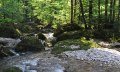Radtour ab Balderschwang: Lecknertal - Scheidewang - Höllritzer Alpe © Naturpark Nagelfluhkette, R. Eberhardt