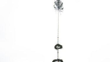 Maibaum © Aline